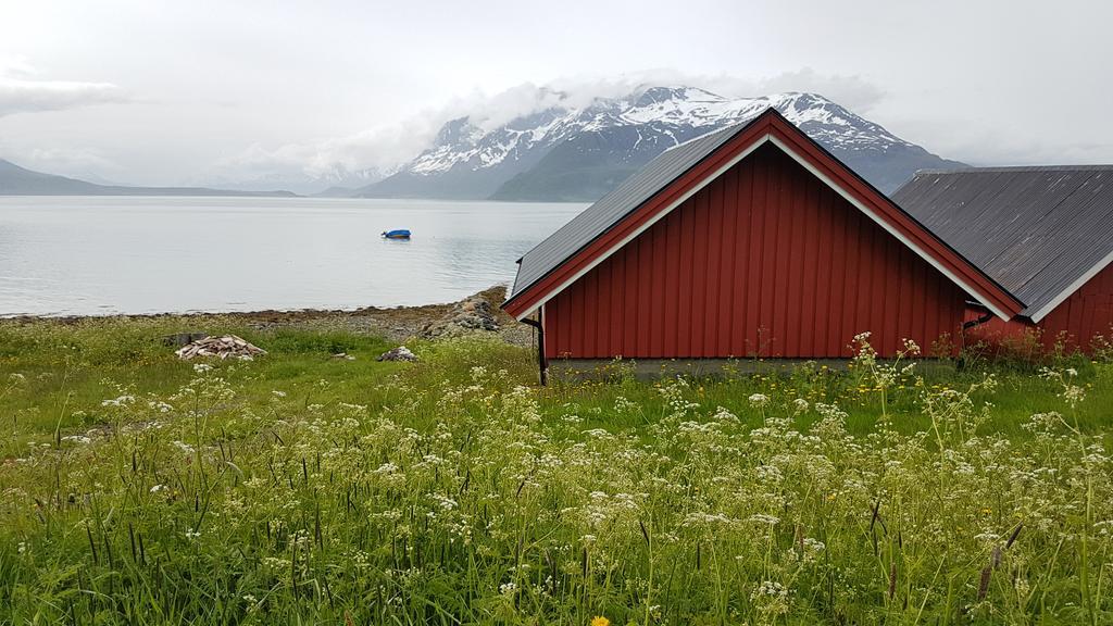 Slettvold Lyngen Villa Svensby Kültér fotó