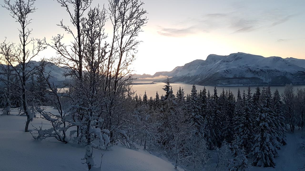 Slettvold Lyngen Villa Svensby Kültér fotó